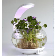Светильник-аквариум с фито-лампой Модерн 5-4946-WH LED