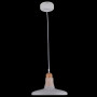 Подвесной светильник Maytoni Ola P017PL-01W