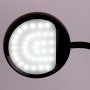 Настольная лампа Camelion KD-828 C02 13007